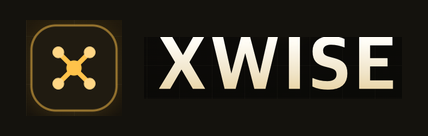 XWISE 네트웤스 Logo